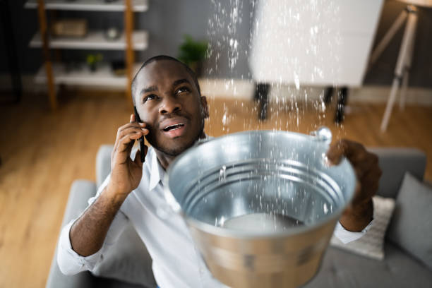 Best Water damage cleanup near me  in Oakdale, MN