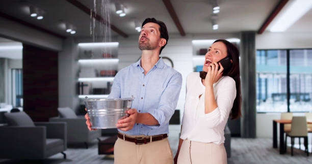 Best 24/7 water damage repair  in Oakdale, MN